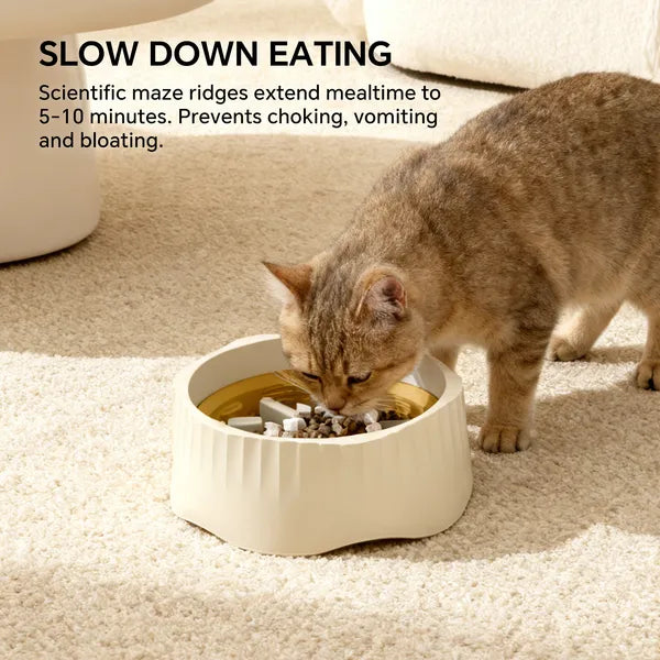 2-in-1 Fast & Slow Feeder Cat Bowl - image 8