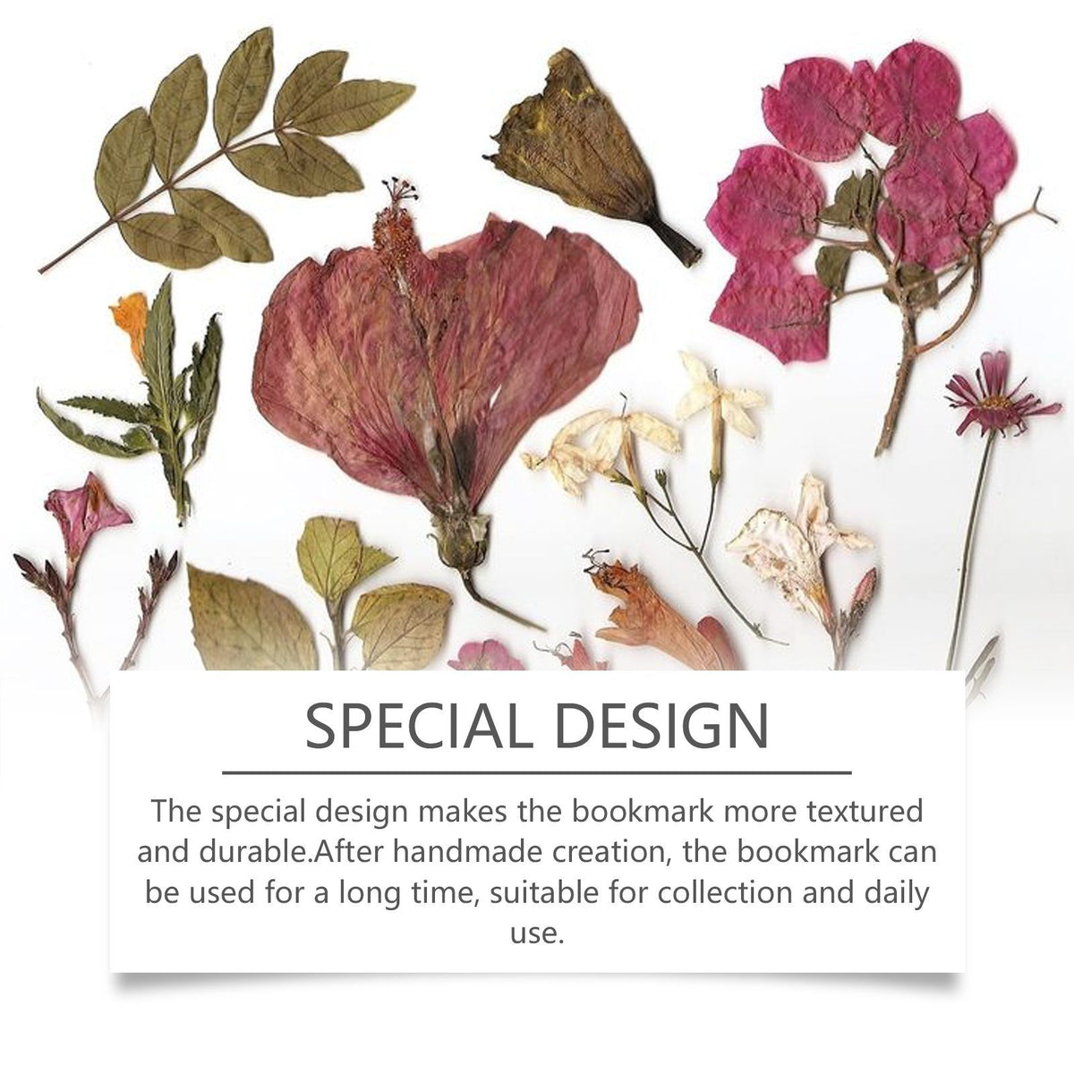 DIY Dried Flower Bookmark Kit, 20 Pieces - image 2