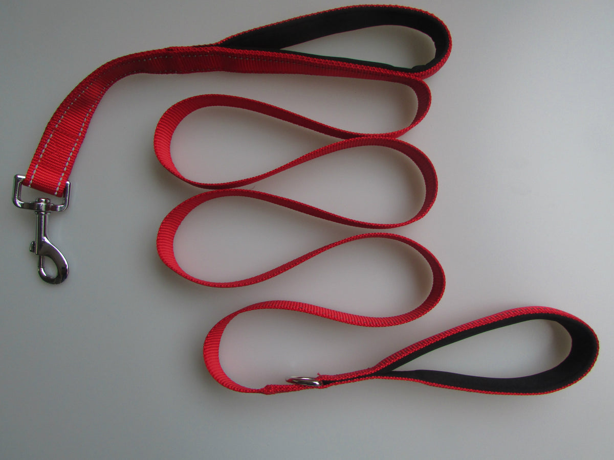 Pet Double Handle Pull Leash - image 4