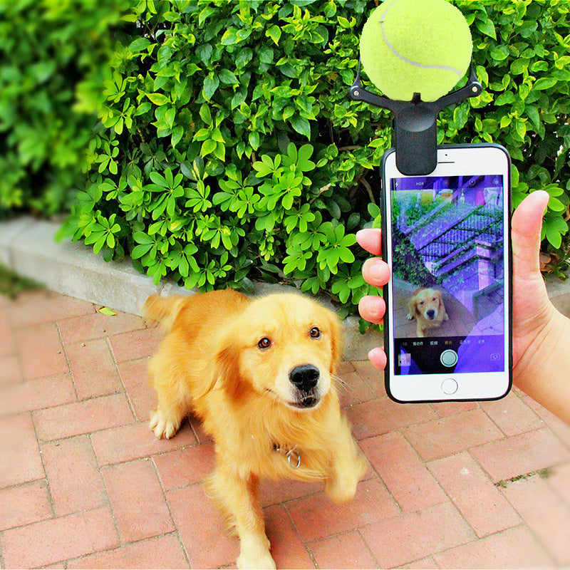 Pet photo props toy pet photo selfie artifact funny dog camera phone c - image 5