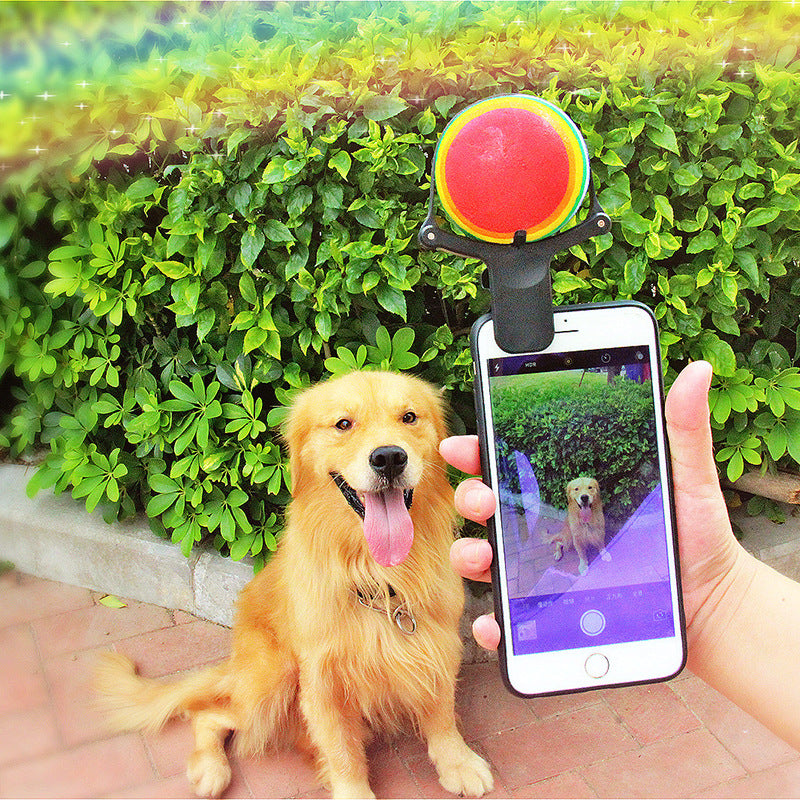 Pet photo props toy pet photo selfie artifact funny dog camera phone c - image 2