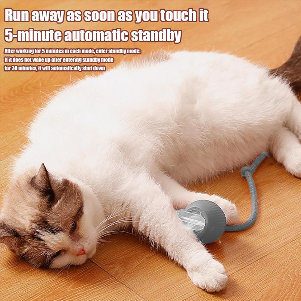Interactive Rolling Cat Ball - image 1