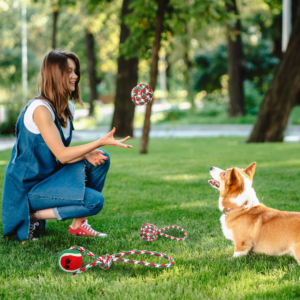 Set Of 5Pcs Christmas Dog Rope Chew Toys Dog Interactive Toys Set For  - image 4
