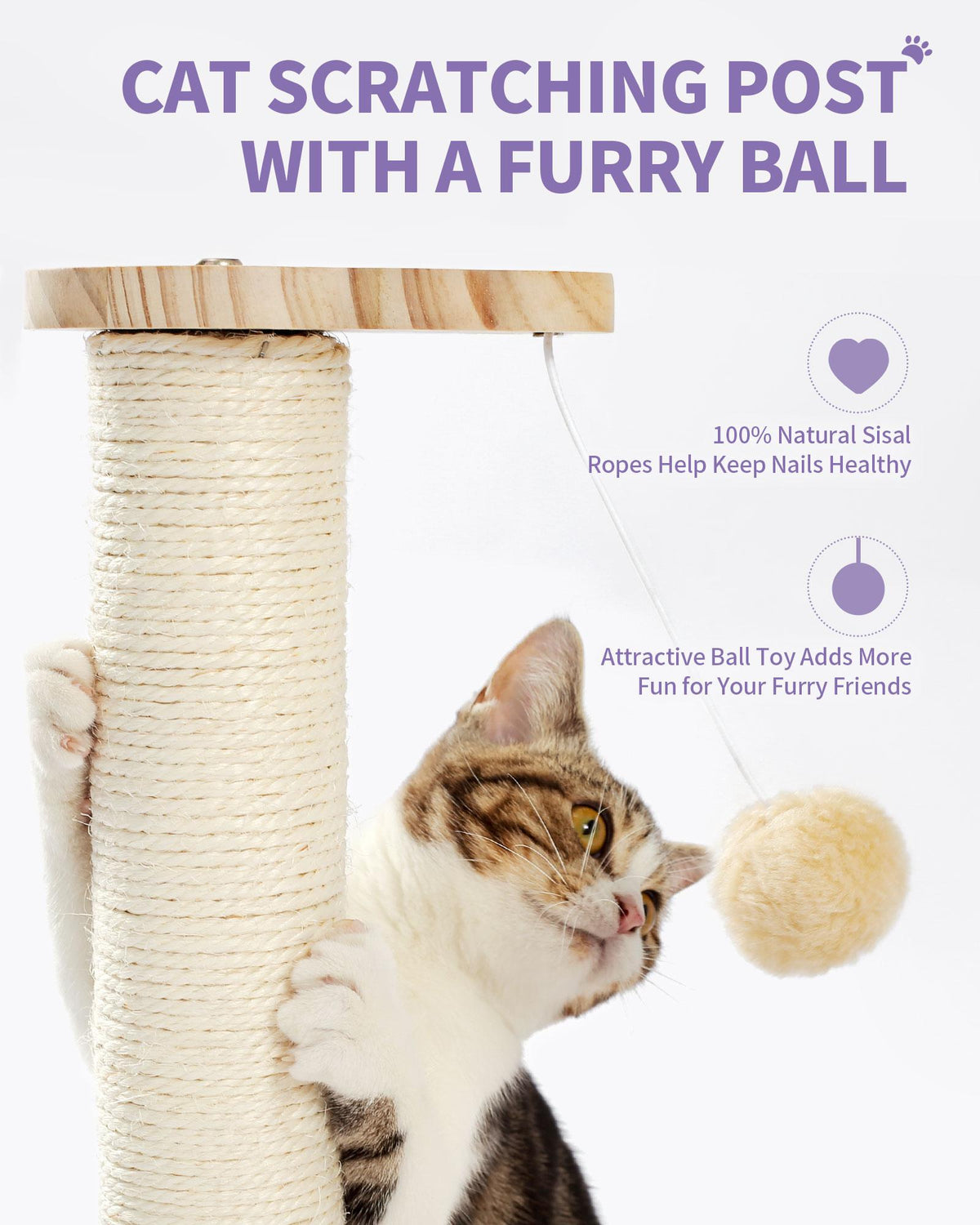 Indoor Cat Soft Scratching Board And Interactive Ball Track Toy Cat Re - image 4