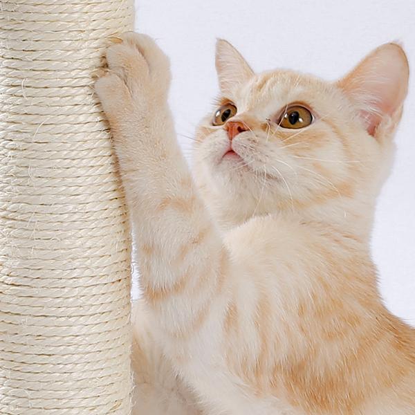 Indoor Cat Soft Scratching Board And Interactive Ball Track Toy Cat Re - image 8