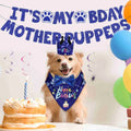 Dog Birthday Bandana & Bow Tie Party Set - image 1