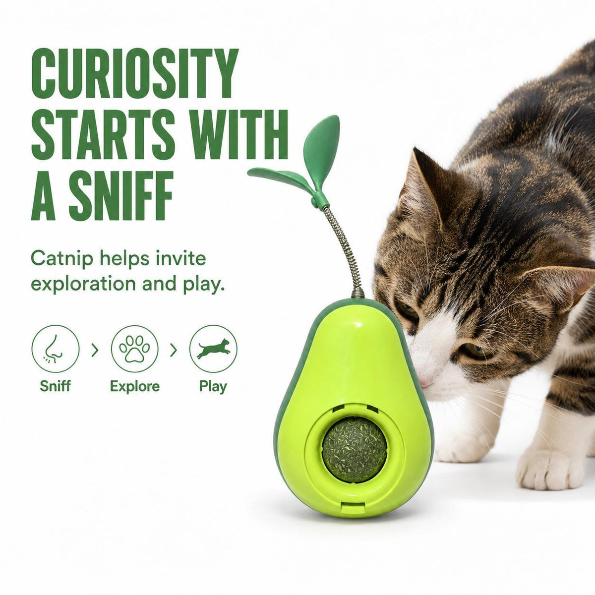 Avocado Wobble Cat Toy - image 1