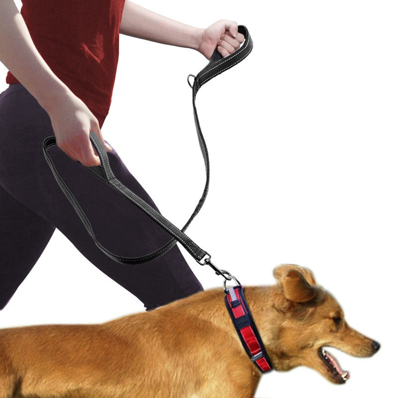 Pet Double Handle Pull Leash - image 2