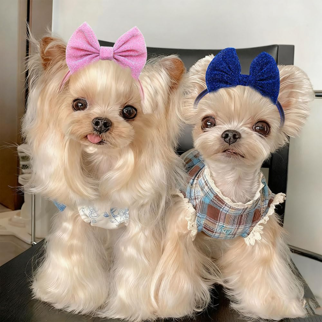 4 Dog Hair Bow Headbands - image 7
