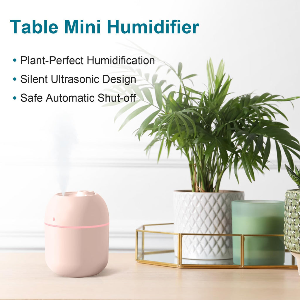 Portable Mini Humidifier 220ml Small Cool Mist Humidifier USB Personal - image 1