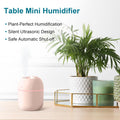 Portable Mini Humidifier 220ml Small Cool Mist Humidifier USB Personal - image 1