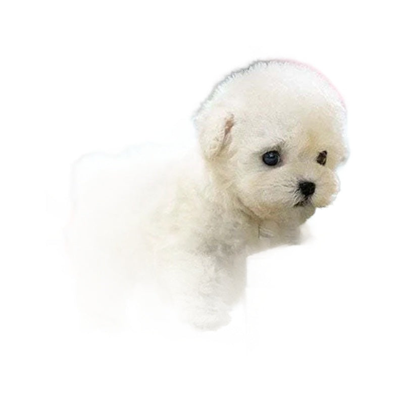 Robot Puppy Short Plush Doll - image 1
